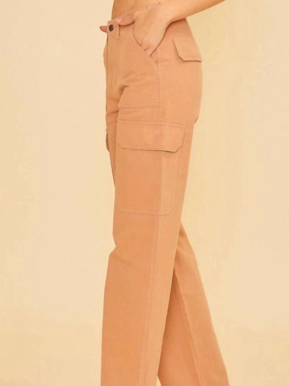 NWOT Terracotta Cargo Pants by Anniewear